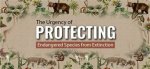 Understanding the Urgency: the Phenomenon of Desparate Pee