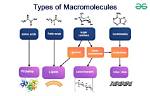 Unlock the Secrets of Building Macromolecules: Your Key to Discoveries
