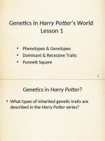 Unlock the Secrets of Harry Potter Genetics: Discoveries and Insights Within