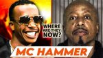 Unraveling the Enigma: What Is Mc Hammer Doing Today?
