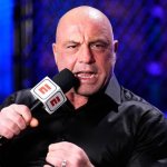 Unraveling the Mystery of Joe Rogan's Death