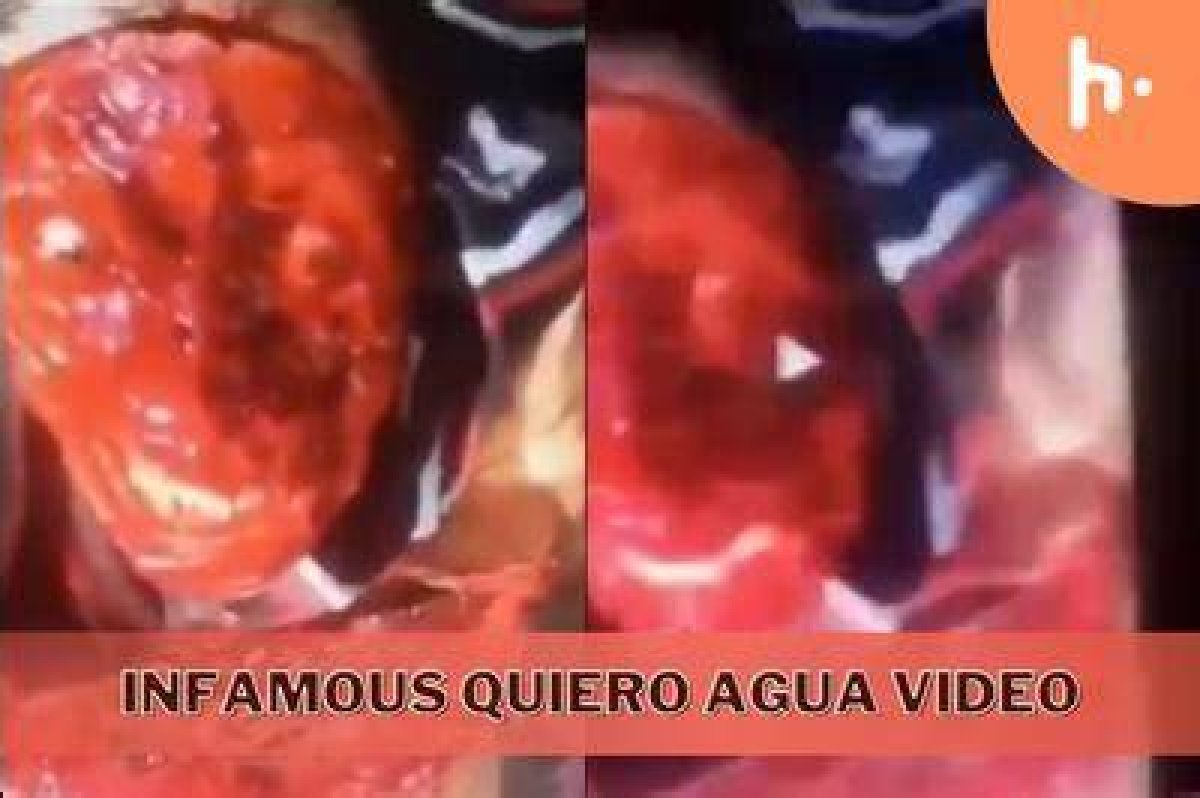 Unraveling the Mystery of "Yo Quiero Agua Gore"