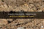 Unraveling the Mystery: Where Is Sandy Bentley Now?