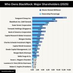 Unraveling the Mystery: Who Owns Black Rock?
