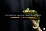 Unraveling the Secrets of Invisibility