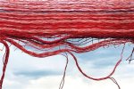 Unraveling the Secrets of Love, Resilience, and Growth
