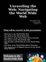 Unraveling the Web: the Fascinating World of Spiderman Sophierain