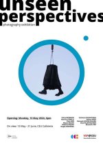 Unseen Perspectives and Enduring Impact