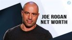 Unveiling Joe Rogan's Net Worth: Secrets and Surprises Revealed