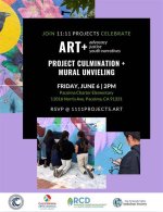 Unveiling the Art and Advocacy of Michael Noak: Discoveries and Insights