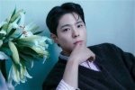 Unveiling the Charisma of Bo Gum: a Journey Through Stardom