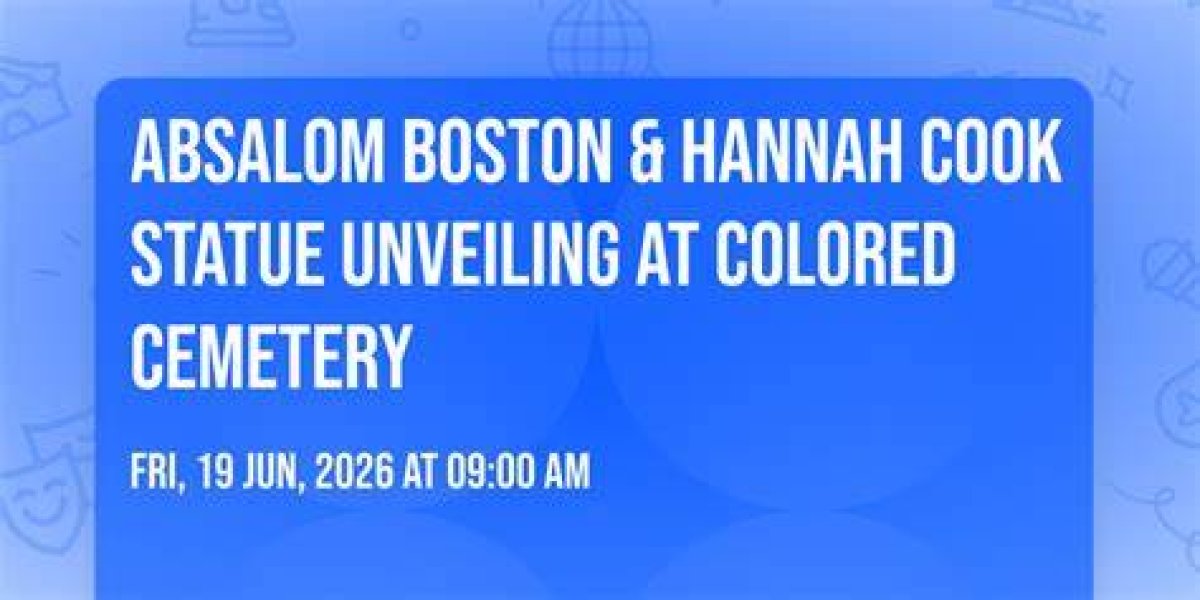 Unveiling the Controversy: the Hannah Cook Leaked Incident