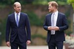 Unveiling the Distance Between William and Harry: Surprising Revelations