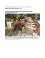 Unveiling the Enchanting Wedding Album of Cheryl Scott and Dante Deiana