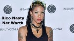 Unveiling the Enigma of "Rico Nasty Gender": Discoveries and Insights