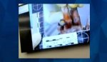 Unveiling the Gannon Stauch Autopsy Photos Leak: Exclusive Insights