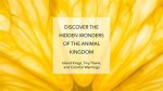 Unveiling the Hidden Animal Kingdom in Your Jeep Grand Cherokee