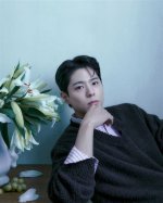 Unveiling the Intrigue of Park Bo-Gum's Relationships