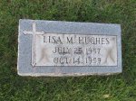 Unveiling the Legacy of Lisa M. Hughes Young: a Transformative Journey