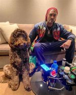 Unveiling the Life of Snoop Dog's Wife: a Journey Beyond Fame