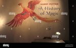 Unveiling the Magic: Harry Potter and the Prisoner of Azkaban Tom Ackerley