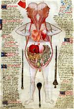 Unveiling the Mysteries of Tarrare Organs: a Journey into the Unusual