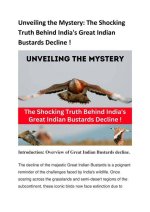 Unveiling the Mystery and Uncovering the Truth