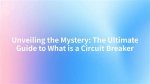 Unveiling the Mystery: What Is Braun Breaker's Real Name?