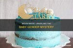 Unveiling the Mystery: What Is the Gender of Blake Lively's Fourth Baby?