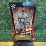 Unveiling the Mystery: Who Is John Cena's Wife?