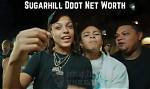 Unveiling the Tragic Fate of Sugarhill Ddot: a Pioneer Silenced