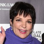 Unveiling the Vibrant Spirit of Liza Minnelli in Her Youth