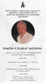 Unveiling the Visionary World of Simon Charaf Medina: Innovations and Impact