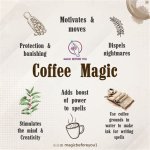 Unveiling the Wonders of the Magic Coffee Table: Discoveries and Insights