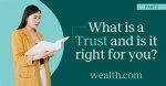 Wealth, Age, and Marital Bliss