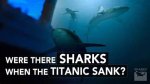 Were There Sharks Near the Titanic?