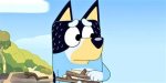 What Happened to Bandit in Stickbird?
