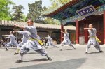 What Is Wushu? Understanding the Ancient Chinese Martial Art
