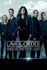 What Will 'Law & Order: Svu' Do Without Peter Stone as Ada?
