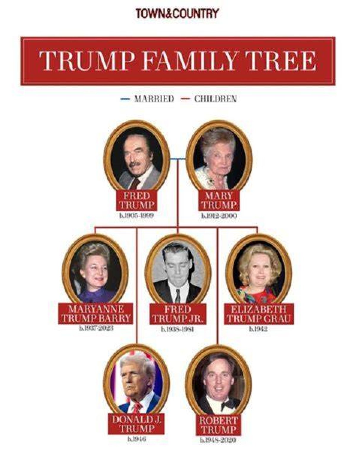 What Year Was Donald Trump Born: Comprehensive Guide