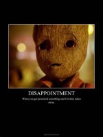 When Disappointment Becomes a Meme: the Look of Disappointment