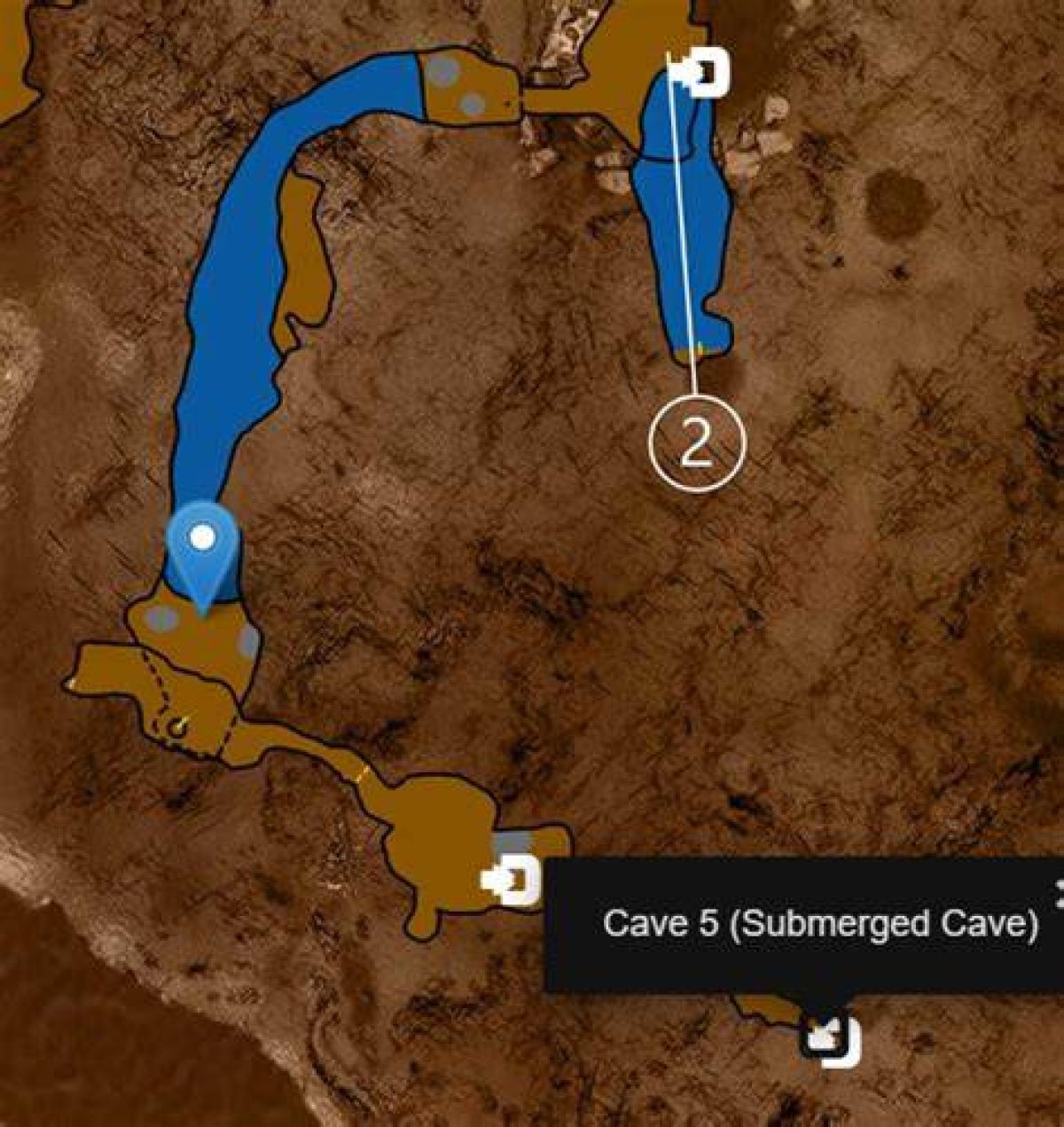 Where Is the Cave 5 Entrance in the Forest?