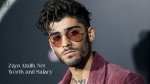 Zayn Malik's Net Worth: a Closer Look at the Star's Wealth